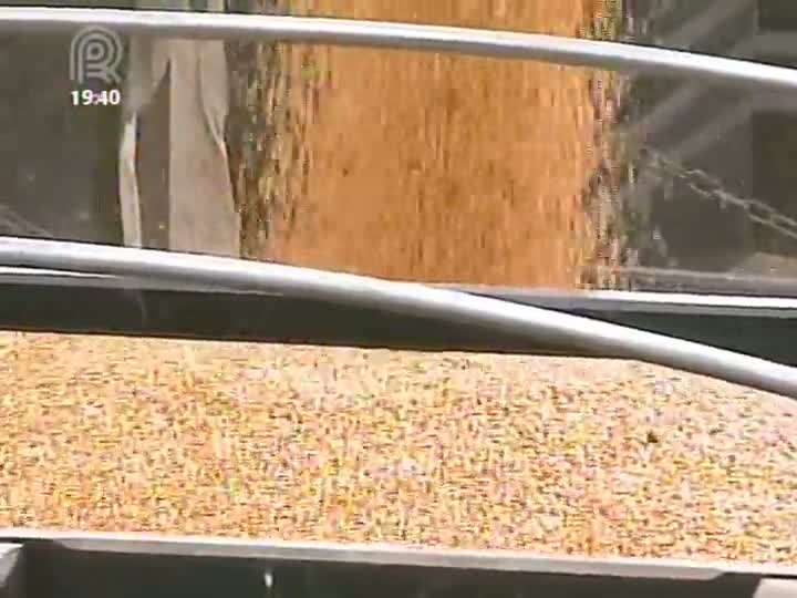 Produtores buscam manter bom desempenho das exportações de milho