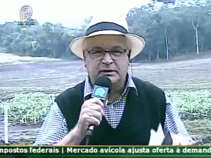 Mendes Ribeiro Filho deve deixar Ministério da Agricultura, diz Carolina Bahia