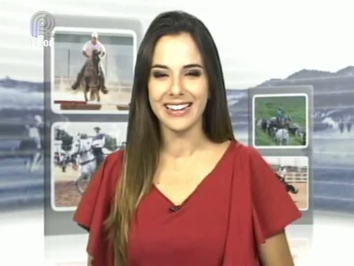 Mangalarga Marchador TV conta a história da matriarca da tradicional linhagem Favacho (Parte 1)