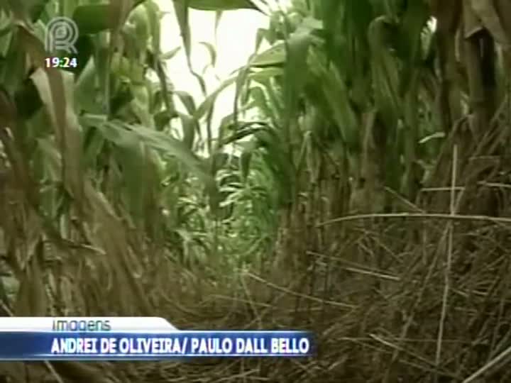 Mesmo com chuvas de dezembro, rios de Santa Catarina continuam com nível baixo