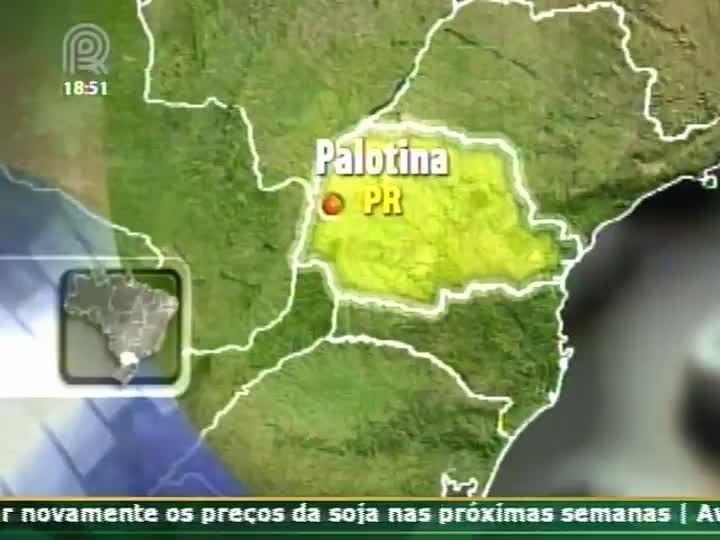 Presidente do Sindicato Rural de Palotina (PR) comenta sobre a falta de chuva na região