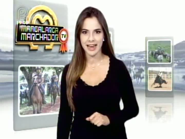 Parte 1: Retrospectiva Mangalarga Marchador TV: veja como foi a trigésima primeira Exposição Nacional em Belo Horizonte (MG)