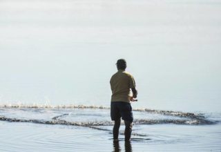 Períodos de defeso voltam a valer em todo o país