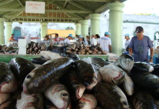 Semana Santa estimula e movimenta comércio de peixe no Rio Grande do Sul