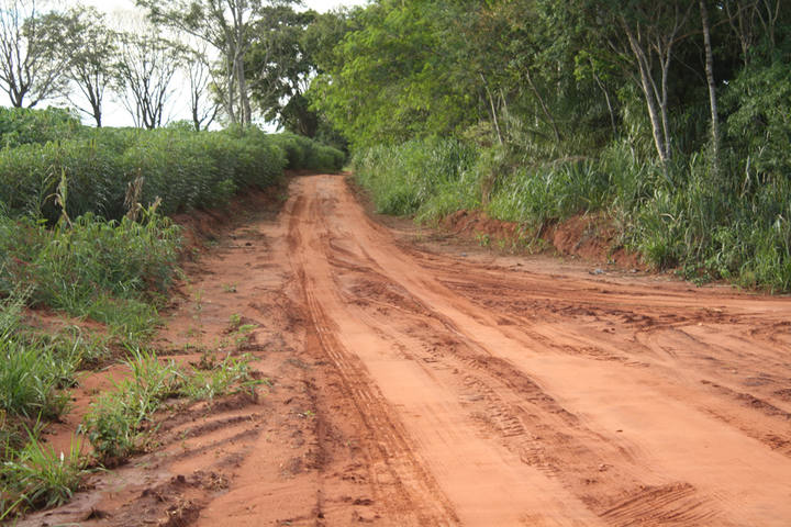 Governo anuncia programa de R$ 125 milhões para defesa agropecuária em fronteiras