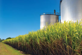 etanol usina cana - produção industrial - mato grosso