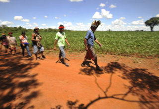 Mais de mil índios invadem sete fazendas em Mato Grosso do Sul