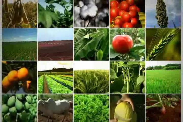 Tecnologia do Campo: Agroindústria em debate