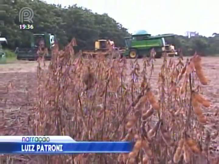 Produção de algodão em Mato Grosso deve ser 44% menor em relação à safra passada