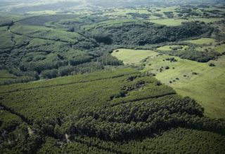 STF retoma julgamento de ações sobre o novo Código Florestal