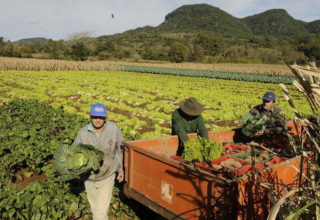 Fonte: Ministério do Desenvolvimento Agrário