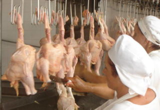 Consumidores entram na Justiça contra setor avícola nos EUA