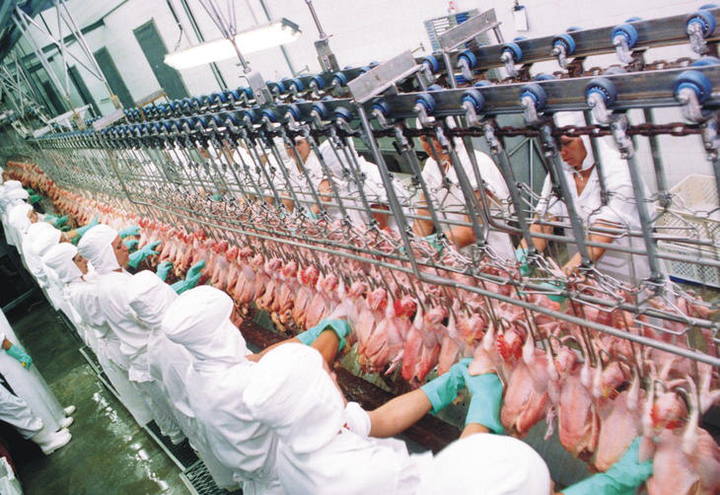 Ingresos por exportaciones de carne de pollo crecen 34% en abril