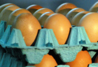 Preço médio anual do ovo vermelho tem alta de 4,6%