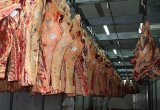 USDA reduz estimativa para produção americana de carne bovina em 2015