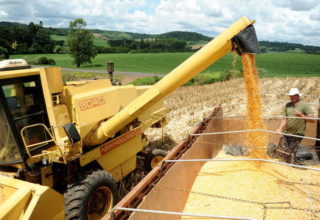 Leilão de VEP vai negociar 80 mil toneladas de milho a Estados afetados por estiagem e enchentes