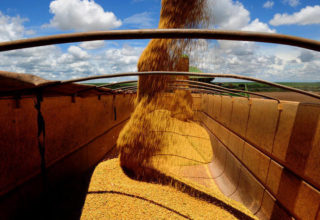 Greve influencia queda de 69% nas exportações de soja em fevereiro