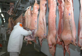Sobe exportação de carne bovina e suína in natura