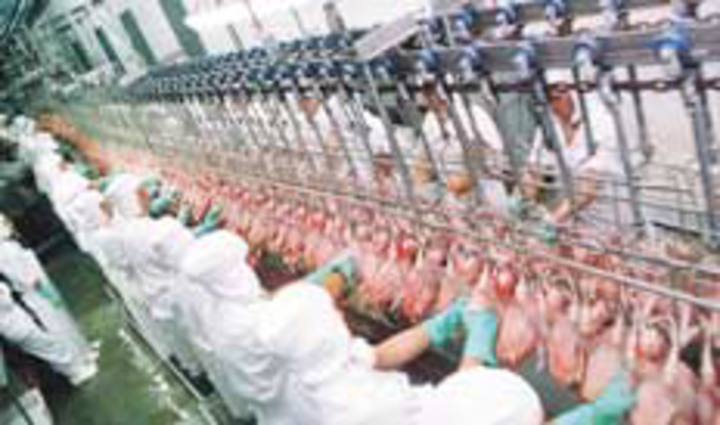 ABPA prevê embarques de 3,99 milhões de toneladas de carne de frango no ano