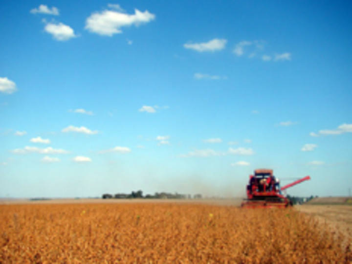 Mato Grosso conclui semeadura em 8,86 milhões de hectares