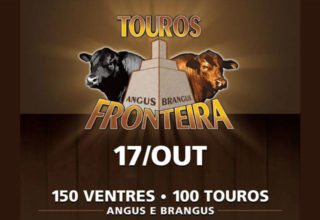 Touros da Fronteira oferta 150 ventres e 100 touros