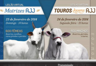 Leilão Virtual Matrizes AJJ e Leilão Touros Jovens AJJ ofertam 600 fêmeas e 400 machos