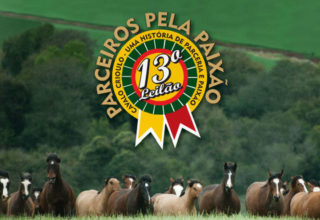 13° Leilão Parceiros Pela Paixão oferece 41 lotes de animais da raça crioula