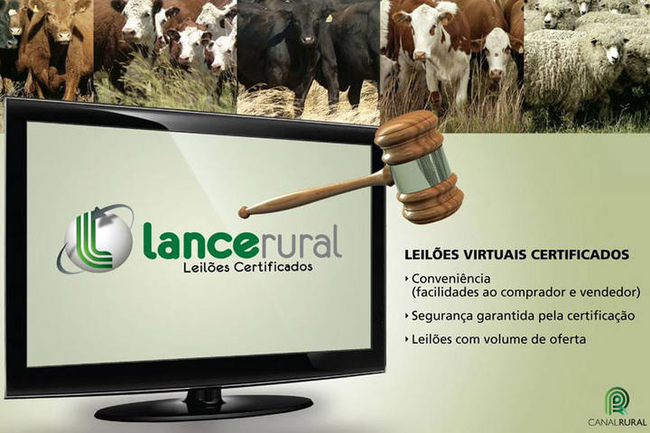 II Treinamento de Certificadores de Leilões credencia 34 profissionais para Lance Rural