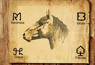 V Remate Fibra Crioula oferta 45 equinos da raça crioula