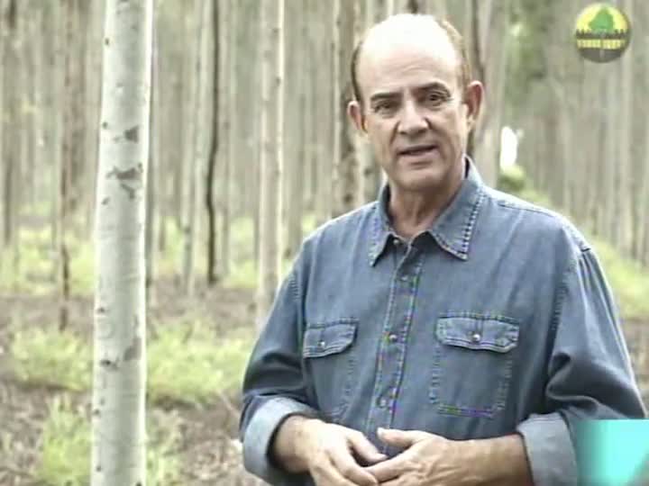 Três Lagoas, a capital da celulose, é destaque do Painel Florestal