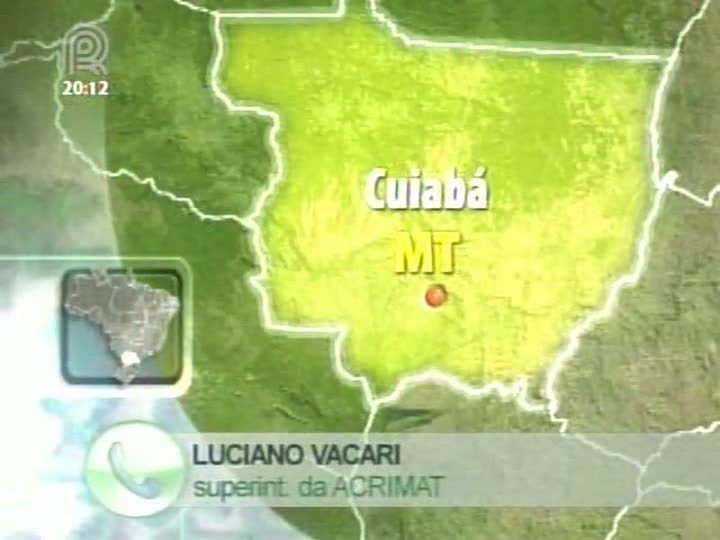 Superintendente da Acrimat fala sobre setor da pecuária no Brasil