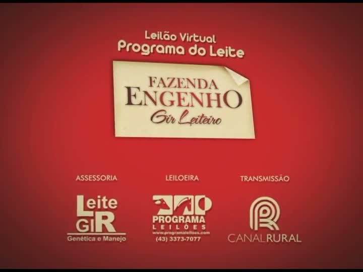 Leilão Virtual Fazenda Engenho