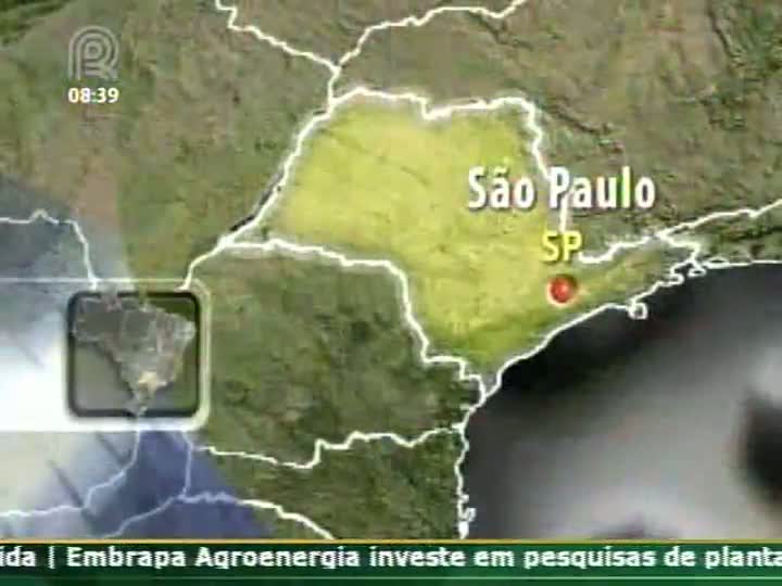 Produtores de commodities e a dependência do mercado internacional, por Miguel Daoud