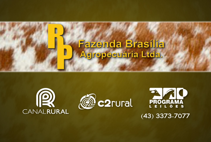 1° Leilão Virtual Fazenda Brasília