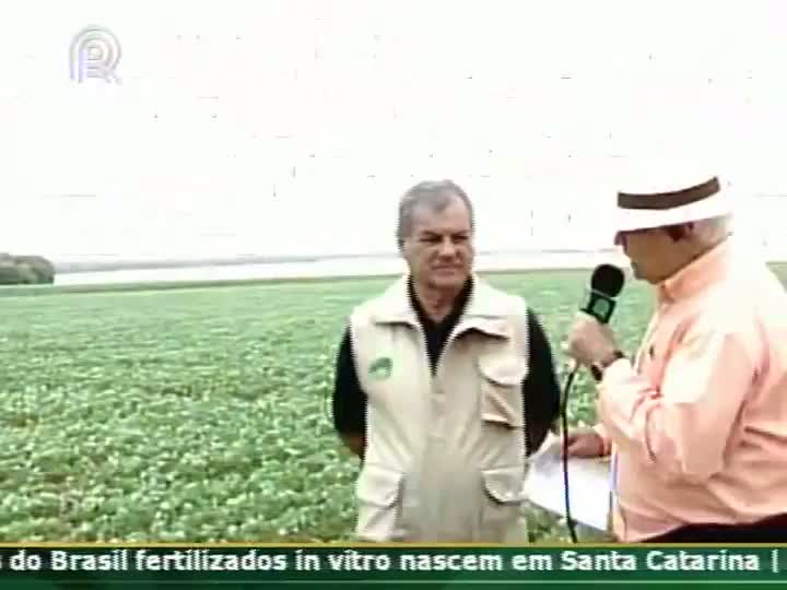 Calor atrasa florada da soja, diz consultor do Projeto Soja Brasil