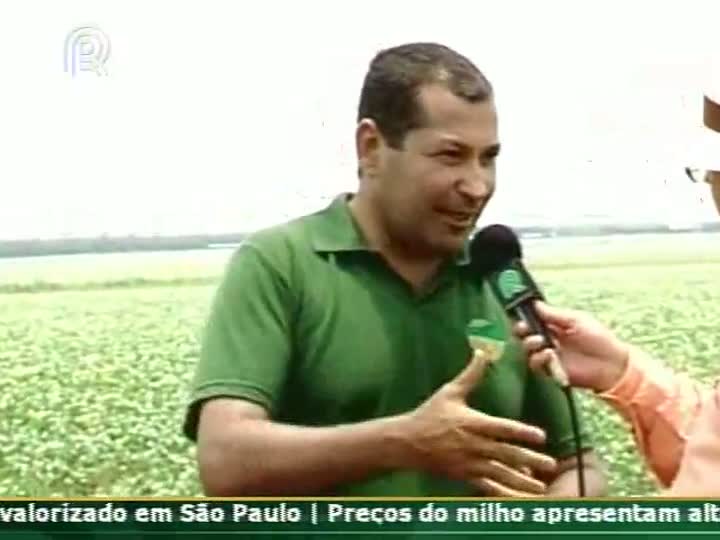 Presidente da Aprosoja MT diz que Brasil precisa melhorar a política de seguro rural