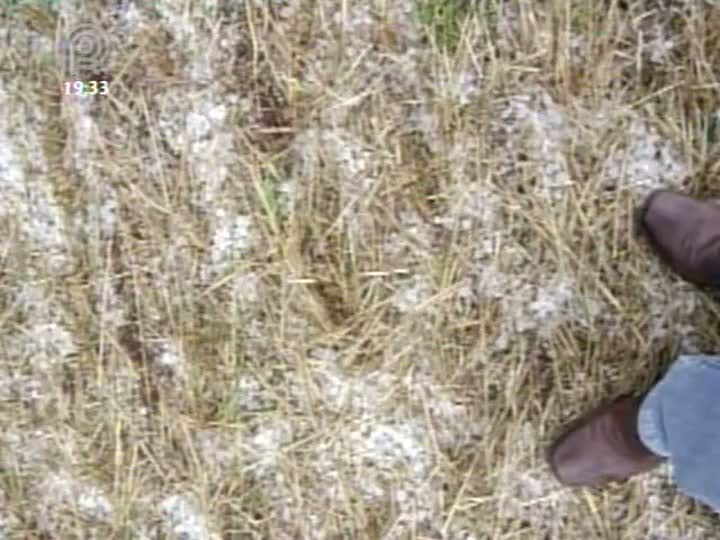 Granizo provoca prejuízo em municípios do Rio Grande do Sul