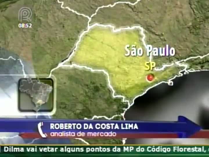 Café: clima irá determinar os preços nos próximos dias