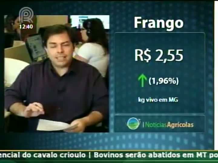 Cotações de frango reagem em Minas e tem aumento nos preços