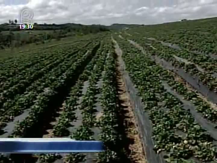 Projeto da Basf promete levar oportunidades aos produtores rurais na linha da sustentabilidade