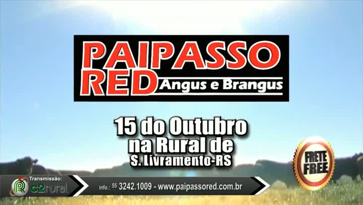 Leilão PaiPassoRed