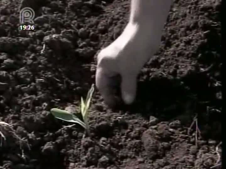 Produtores do oeste de SC comemoram a vinda de chuva a aproveitam para semear