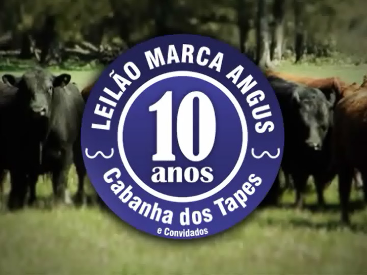 Leilão Marca Angus