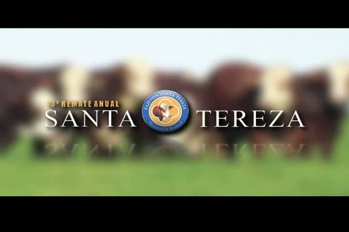 13° Remate Anual Santa Tereza