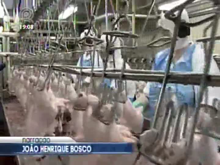 Exportação de carne de aves deve se recuperar