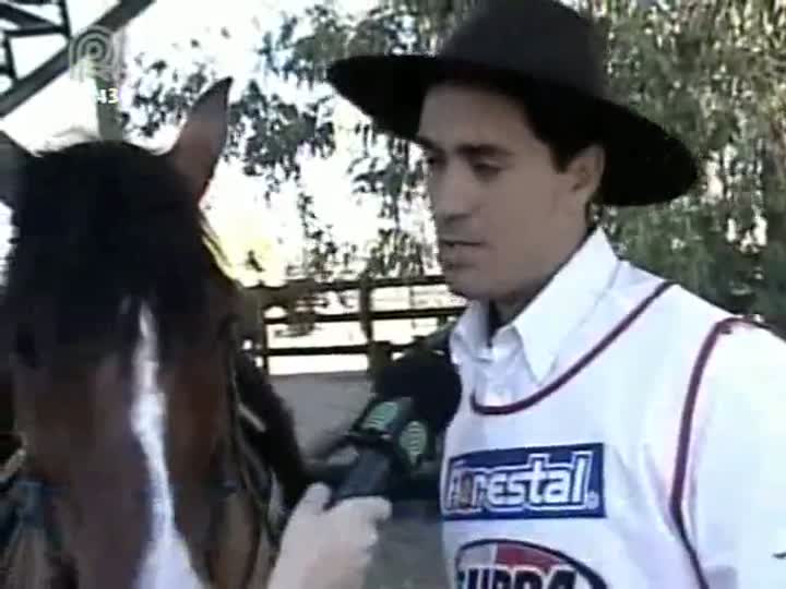 Cavalo crioulo gera mais de R$1 bilhão por ano no Rio Grande do Sul