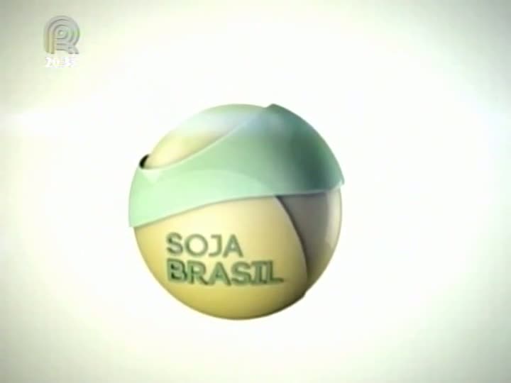 Primeiro fórum do projeto Soja Brasil discutiu relações trabalhistas no campo