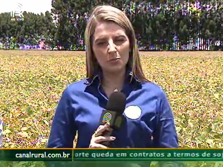 Agrônomo explica relevância do vazio sanitário