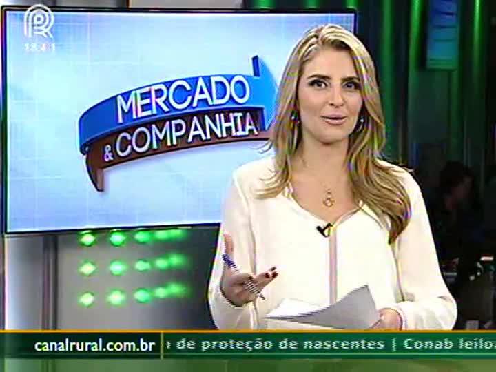 Comercialização da safrinha de milho em Goiás já supera 40%