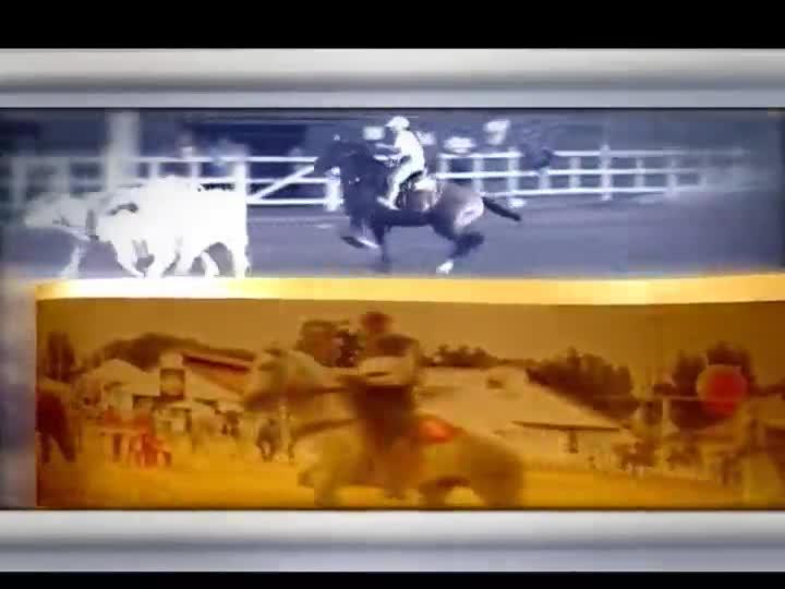 Mangalarga Marchador se apresenta na maior feira equestre da Europa, a Equitana